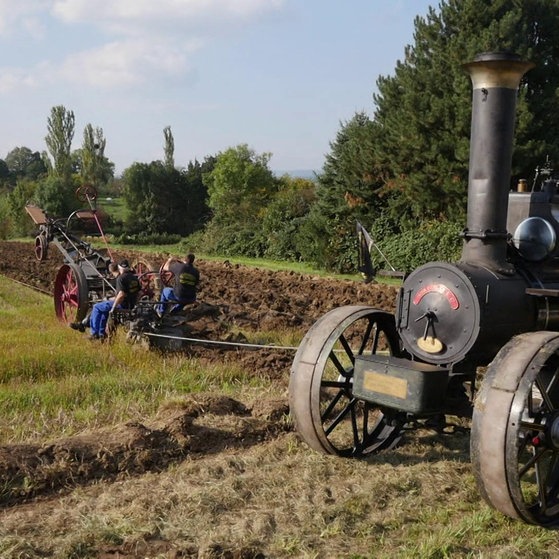 Altes Lokomobil beim Pflügen eines Ackers.