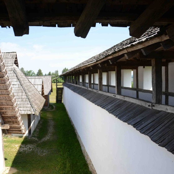 Heuneburg (Foto: SWR)