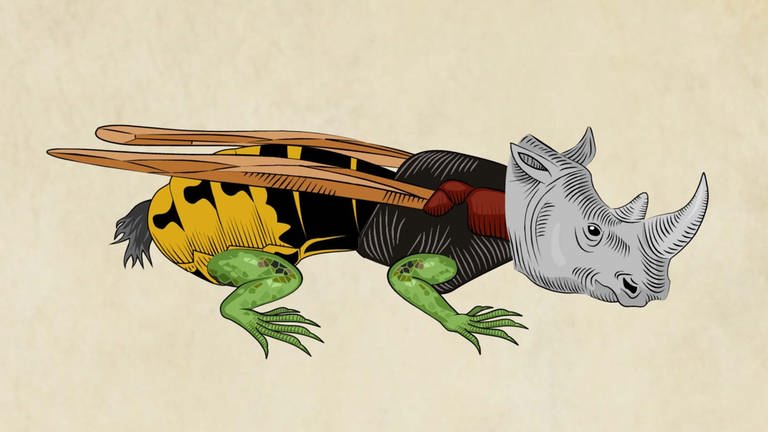 Im Lernspiel Artenkunde-Puzzle kann man verschiedene Körperteile (Kopf, Körper, Beine und Schwanz) lustig zusammensetzen. Das Beispiel zeigt eine Mischung aus Nashorn, Wespe, Eidechse und Steinbock. (Foto: Screenshot aus Lernspiel)