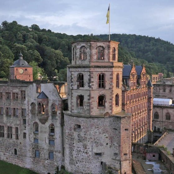 Heidelberger Schloss (Foto: SWR - Screenshot aus der Sendung)