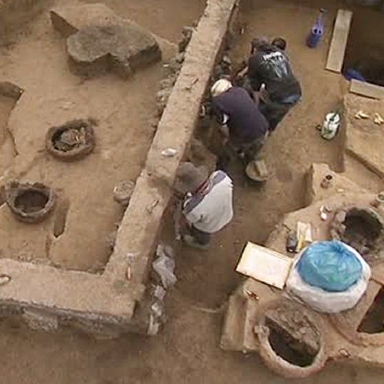 Mehrere Menschen arbeiten in einer archäologischen Ausgrabungsstätte. (Foto: SWR - Screenshot aus der Sendung)