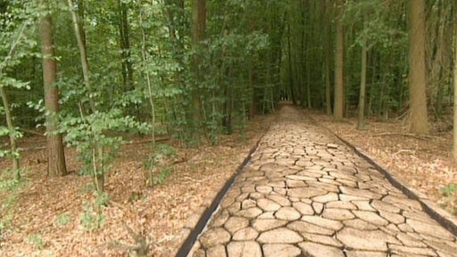 Gepflasterte Straße durch einen Wald.