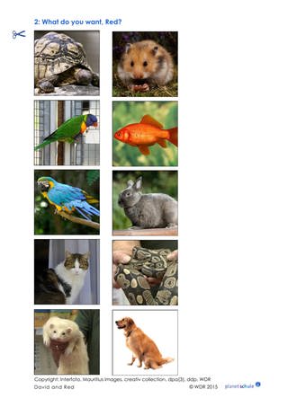 Materialblatt 2: Bildkarten Tiere (Foto: )