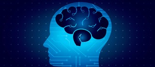 Grafik: Mensch mit Gehirn