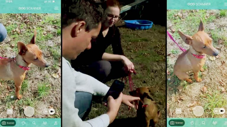 Auf der Suche nach KI: Dennis Horn will Künstliche Intelligenz verstehen und schaut sich eine Hunderassen-App auf dem Handy an. (Foto: WDR)