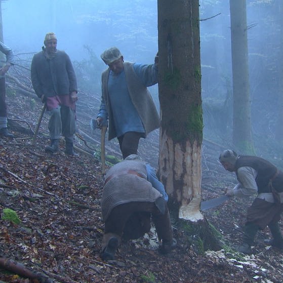 Holzfäller schlagen einen Baum (Foto: SWR - Screenshot aus der Sendung)