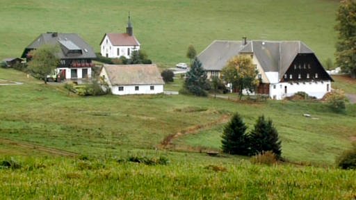 Bauernhof mit Wohngebäude und Kapelle (Foto: SWR – Screenshot aus der Sendung)