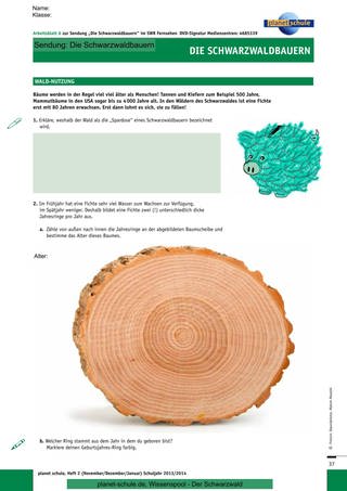 Arbeitsblatt 6: Waldnutzung (Foto: )