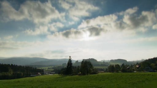 Hügellandschaft im Schwarzwald (Foto: SWR - Screenshot aus der Sendung)