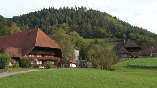 Bauernhof in Schwarzwaldlandschaft (Foto: Imogen Nabel)