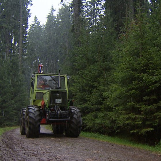 Bauer auf Traktor auf Waldweg (Foto: Imogen Nabel)