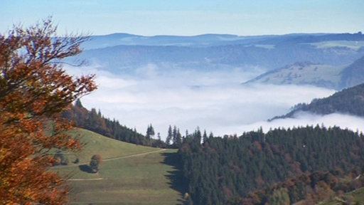 Blick in ein mit Wolken bedecktes Tal.