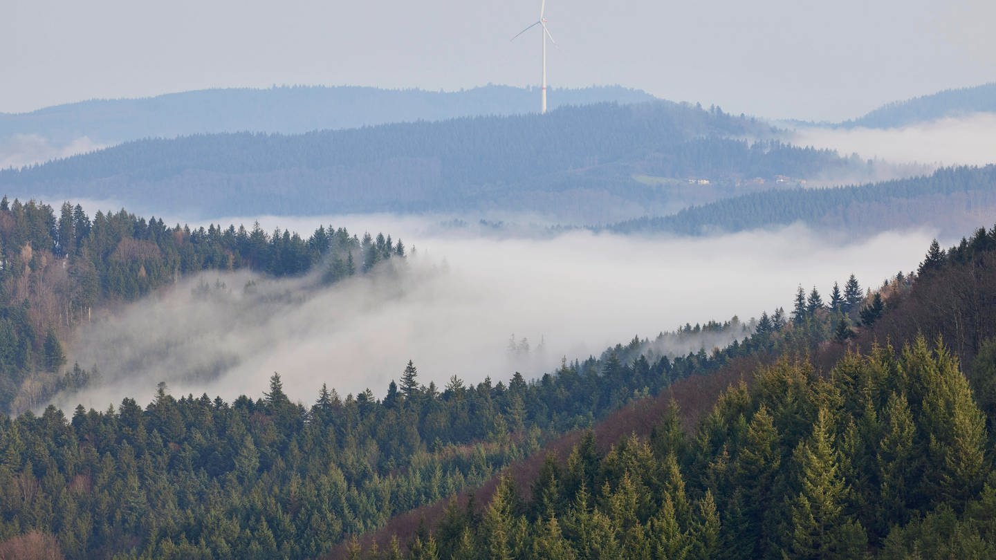 Blick über die Berge im Schwarzwald - teilweise unter Wolken. Der Wald ist Lebensraum für viele Pflanzen und Tiere. (Foto: IMAGO / imagebroker)