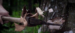 Ein Mann bearbeitet einen Baum mit einer Axt.