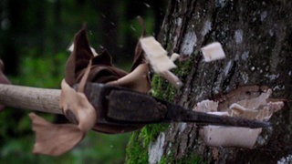 Ein Mann bearbeitet einen Baum mit einer Axt.