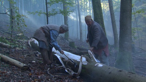 Zwei Holzfäller entrinden einen am Boden liegenden Baumstamm.