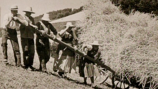 5 Männer und Frauen fahren Heu bergab.