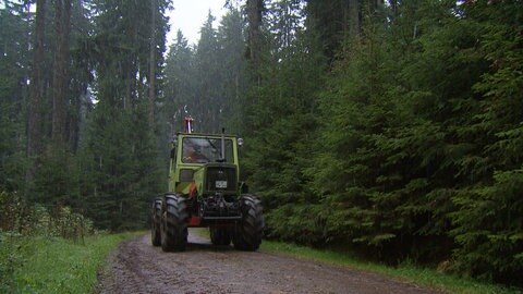 Bauer auf Traktor auf Waldweg
