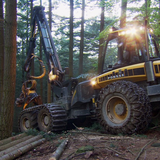 Vollernter transportiert Baumstamm