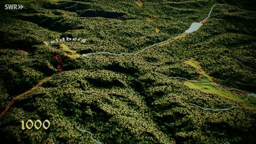 Animation: Wald um 1000