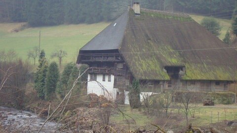 Schwarzwaldhof am Fluss
