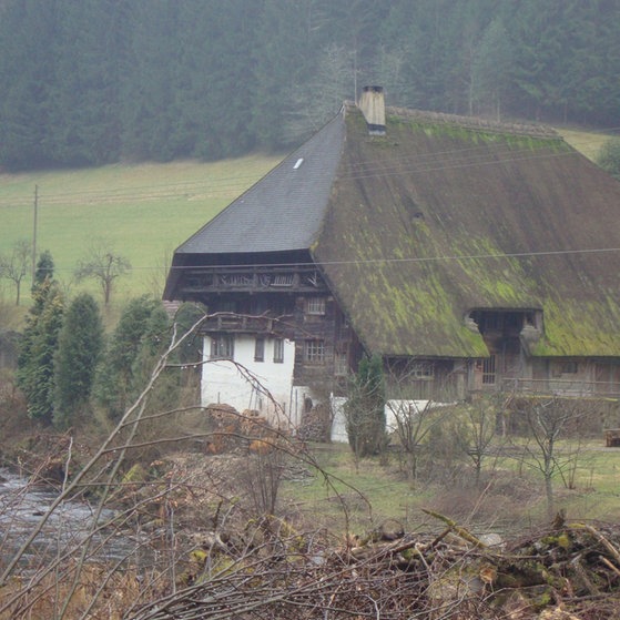 Schwarzwaldhof am Fluss