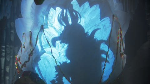 Schattenriss vom König der Höhle. (Foto: SWR – Screenshot aus der Sendung)