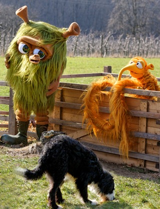 Mumbro und Zinell stehen an einem Zaun auf einer Wiese vor ihnen schnuppert ein Hund am Gras (Foto: Peter Andreas Schmidt)