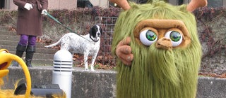 Bannerbild