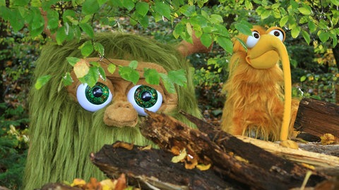Mumbro & Zinell im Wald