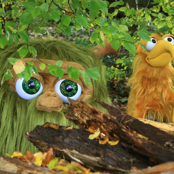 Mumbro & Zinell im Wald