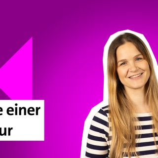 Folge 15: Analyse einer Karikatur | kolleg24 Deutsch