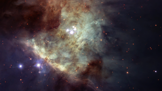 Junge Sterne im Orionnebel