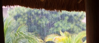 Der Monsunregen prägt das Leben und die Landschaft in Indien im Sommer. 