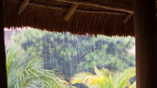 Der Monsunregen prägt das Leben und die Landschaft in Indien im Sommer. 