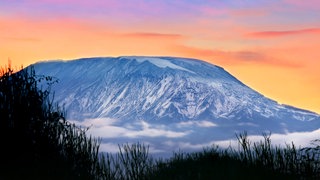 Schnee auf dem Kilimandscharo vor rosa-orangen Himmel: Auf der Erde gibt es verschiedene Klimazonen von den Polen bis zu den Tropen.