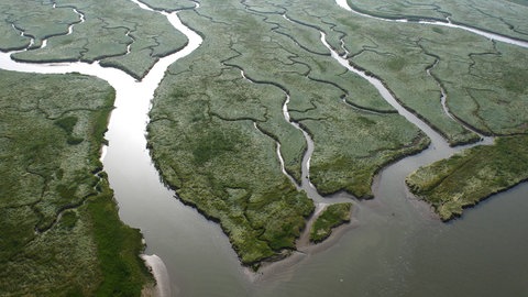 Sandbänke und Flussarme sind typisch für ein Flussdelta.
