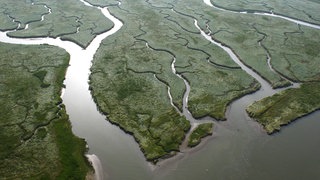 Sandbänke und Flussarme sind typisch für ein Flussdelta.