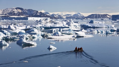 Eine Landschaft aus vielen kleinen Eisbergen. Sie brechen an den Küsten der Polarmeere von den Gletschern ab.