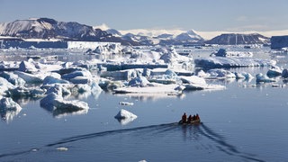 Eine Landschaft aus vielen kleinen Eisbergen. Sie brechen an den Küsten der Polarmeere von den Gletschern ab.