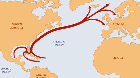 Der Golfstrom wirkt wie eine Zentralheizung auf das Klima in Europa.