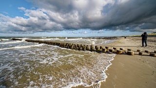 Wellen brechen sich an Buhnen an einem Strand. Die Reihen aus Holz ragen ins Meer, bremsen das Abfließen des Wassers und unterstützen dadurch die Ablagerung von Schlick. 