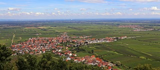Der Oberreingraben hier ein Blick in die Pfalz - entstand durch Bewegung unter der Erdkruste. Immer wieder gibt es Erdbeben. 