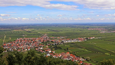 Der Oberreingraben hier ein Blick in die Pfalz - entstand durch Bewegung unter der Erdkruste. Immer wieder gibt es Erdbeben.