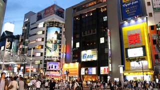 Wenn Kontinentalplatten in Bewegung sind, entstehen Erdbeben: In Japan treffen drei Platten aufeinander. 