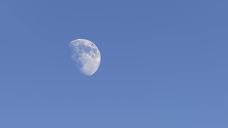 Der Mond am Tag über einer Tanne im Schnee: Warum sehen wir den Mond auch am hellichten Tag?