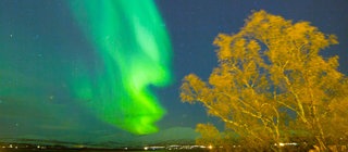Polarlichter am Himmel entstehen durch das Magnetfeld der Erde und den Staub der Sonne.