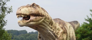 Tyrannosaurus Rex