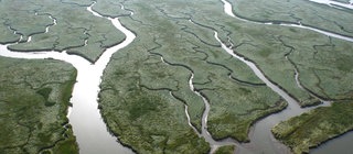 Sandbänke und Flussarme sind typisch für ein Flussdelta.