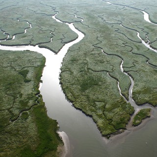Sandbänke und Flussarme sind typisch für ein Flussdelta.